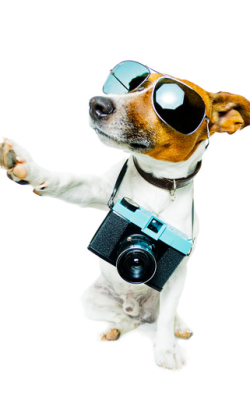 photo Booking tours online